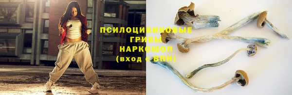соль курить ск Арсеньев
